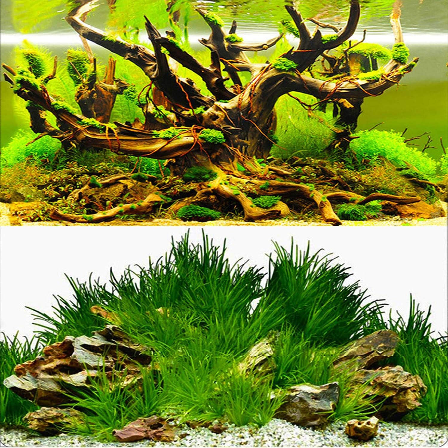 New 20" X 48" Fish Tank Background Paper Wallpaper 2 Sided Colorful Seaweed Wate