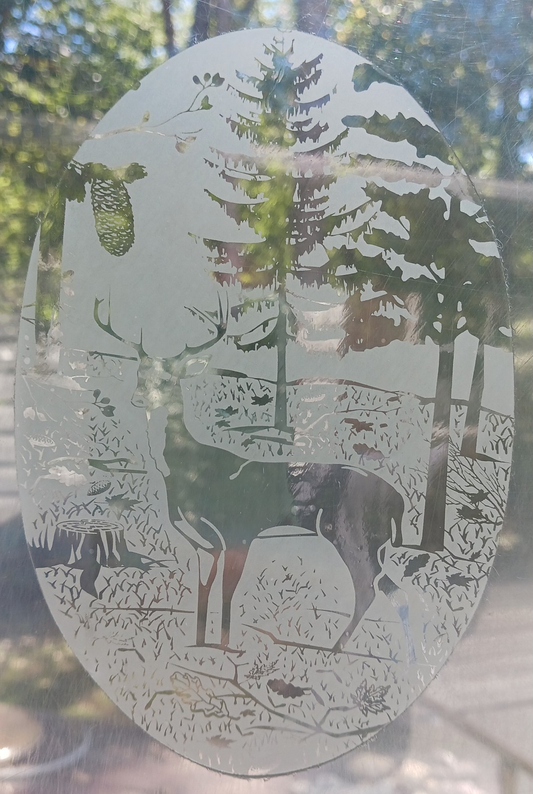 Deer Window Decal 8"x12" OVAL Etched Glass Look Cling Removable & Reusable 43