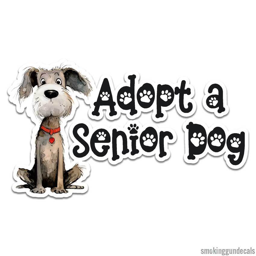 Adopt A Senior Dog, Vinyl Decal Sticker, Indoor Outdoor, 3 Sizes, #12349