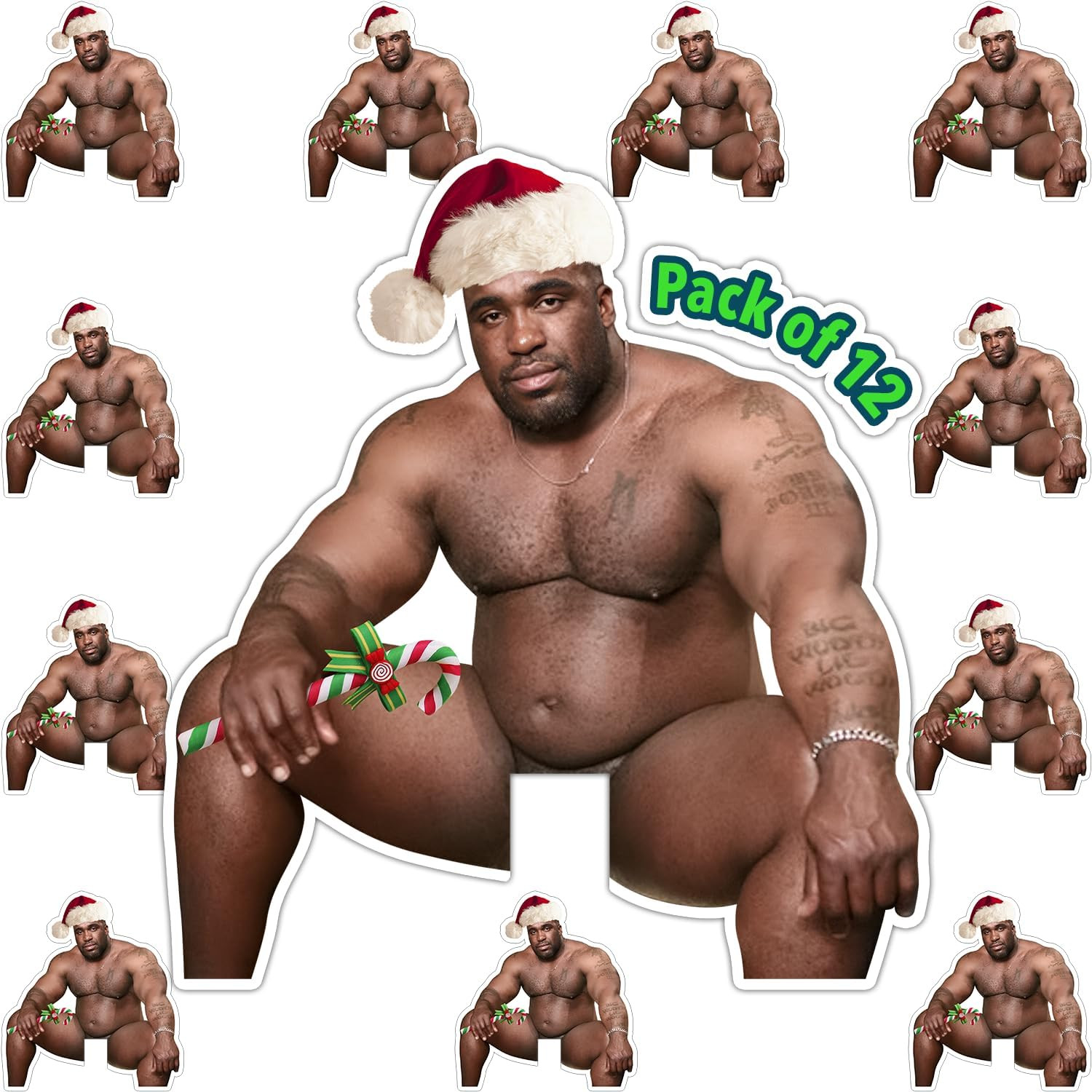 (12 Pcs) Barry Wood Christmas Sticker, Barry Wood Light Switch Sticker, Funny Me