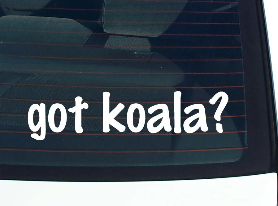 got koala? CAR DECAL BUMPER STICKER VINYL FUNNY JOKE WINDOW