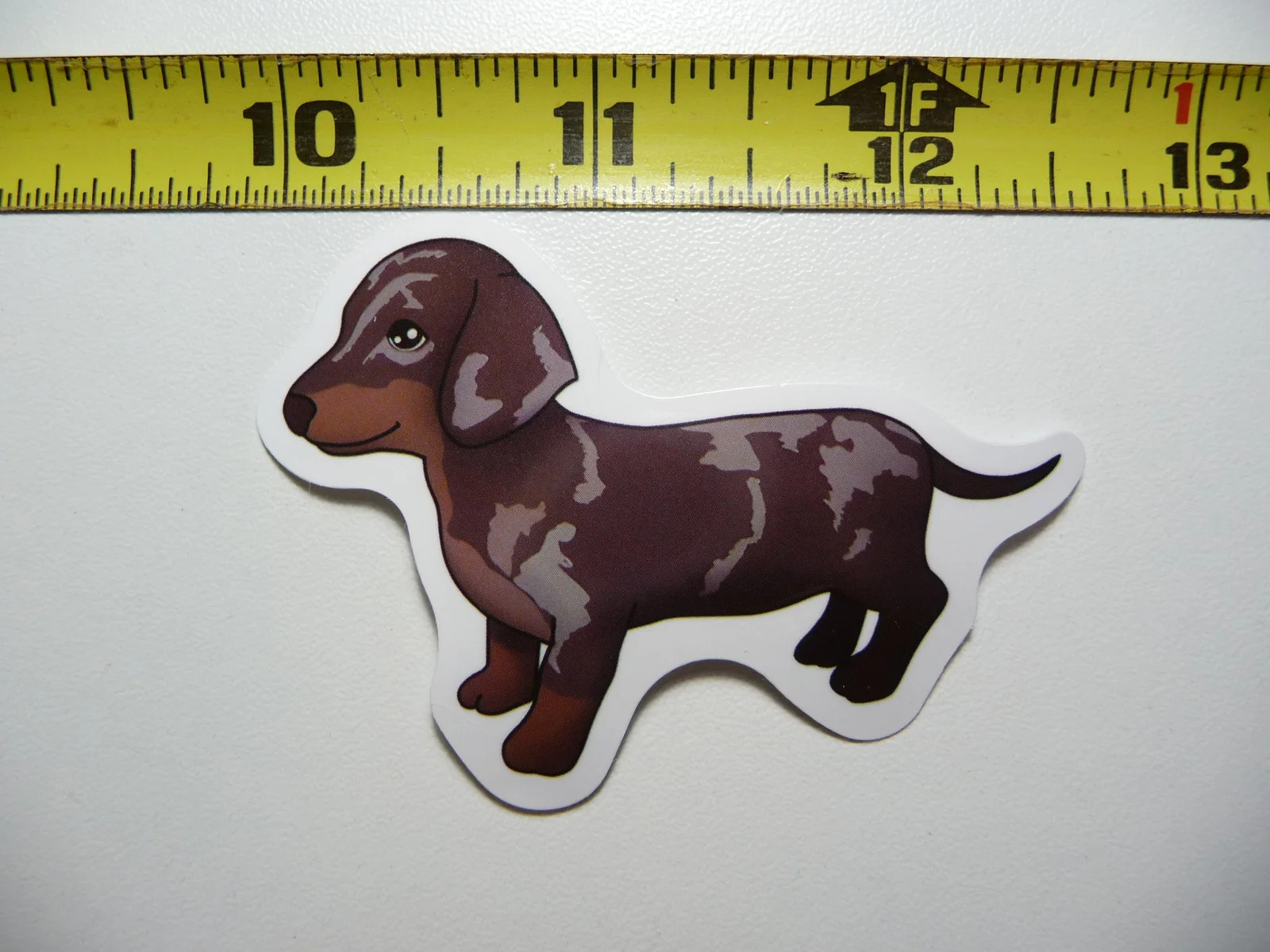 DACHSHUND SMALL STICKER DECAL DAPPLE PUPPY LOOKING DOG SO PET PRIDE