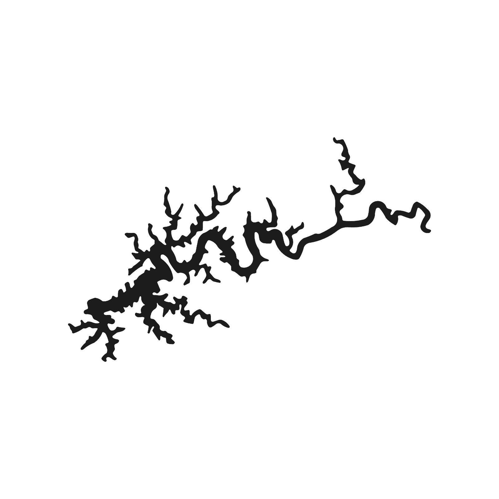 Lake Cumberland outline Vinyl Decal Window Laptop Kentucky lake Sticker