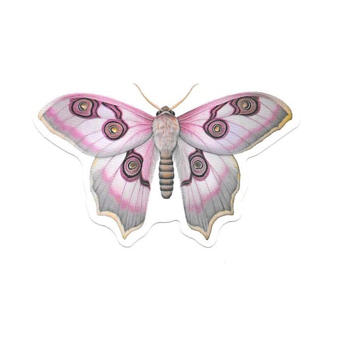 Pastel Pink Silk Moth Vinyl Sticker Vintage Imperial Rose Insect Journal Laptop