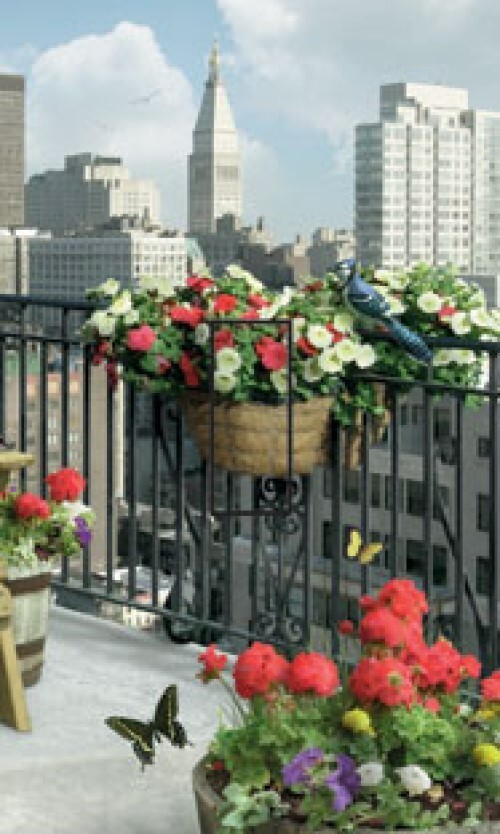 From The Balcony City View SwitchStix Single Toggle