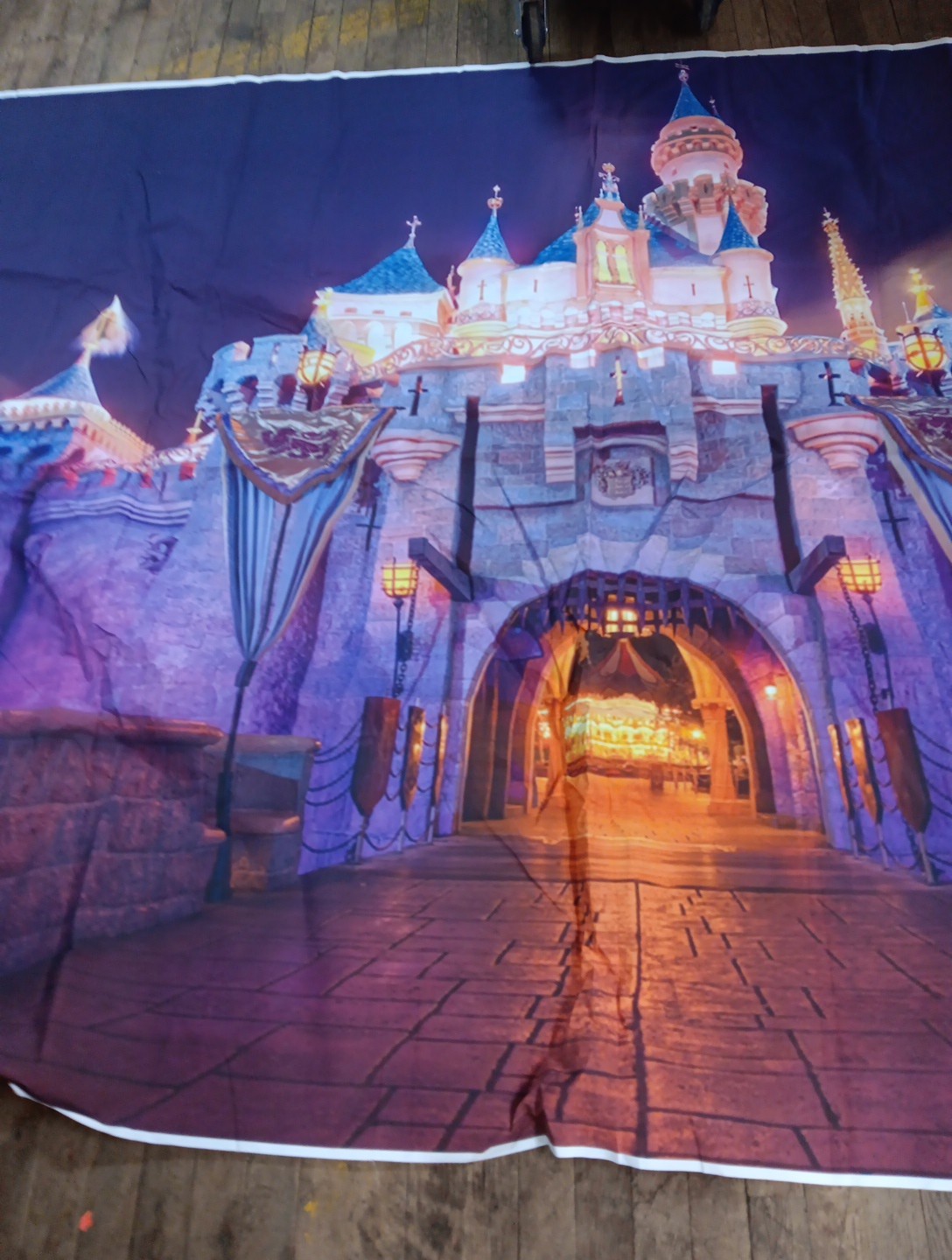 WALL MURAL PRINCESS DISNEY CASTLE BEDROOM VINYL GRAPHIC Tapestry Vinyl 72"x60"