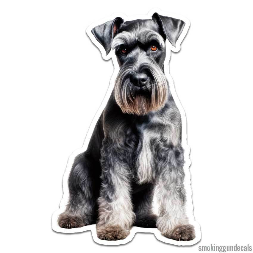 Standard Schnauzer, Vinyl Decal Sticker, Indoor Outdoor, 3 Sizes, #12184