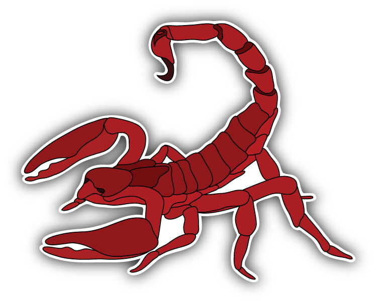 Red Scorpion Car Bumper Sticker Decal