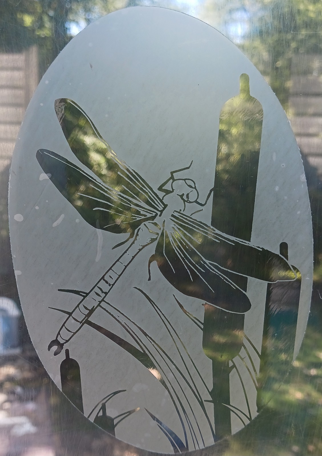 Dragonfly Decal 4"x6" OVAL Etched Glass Look Cling Removable & Reusable 22