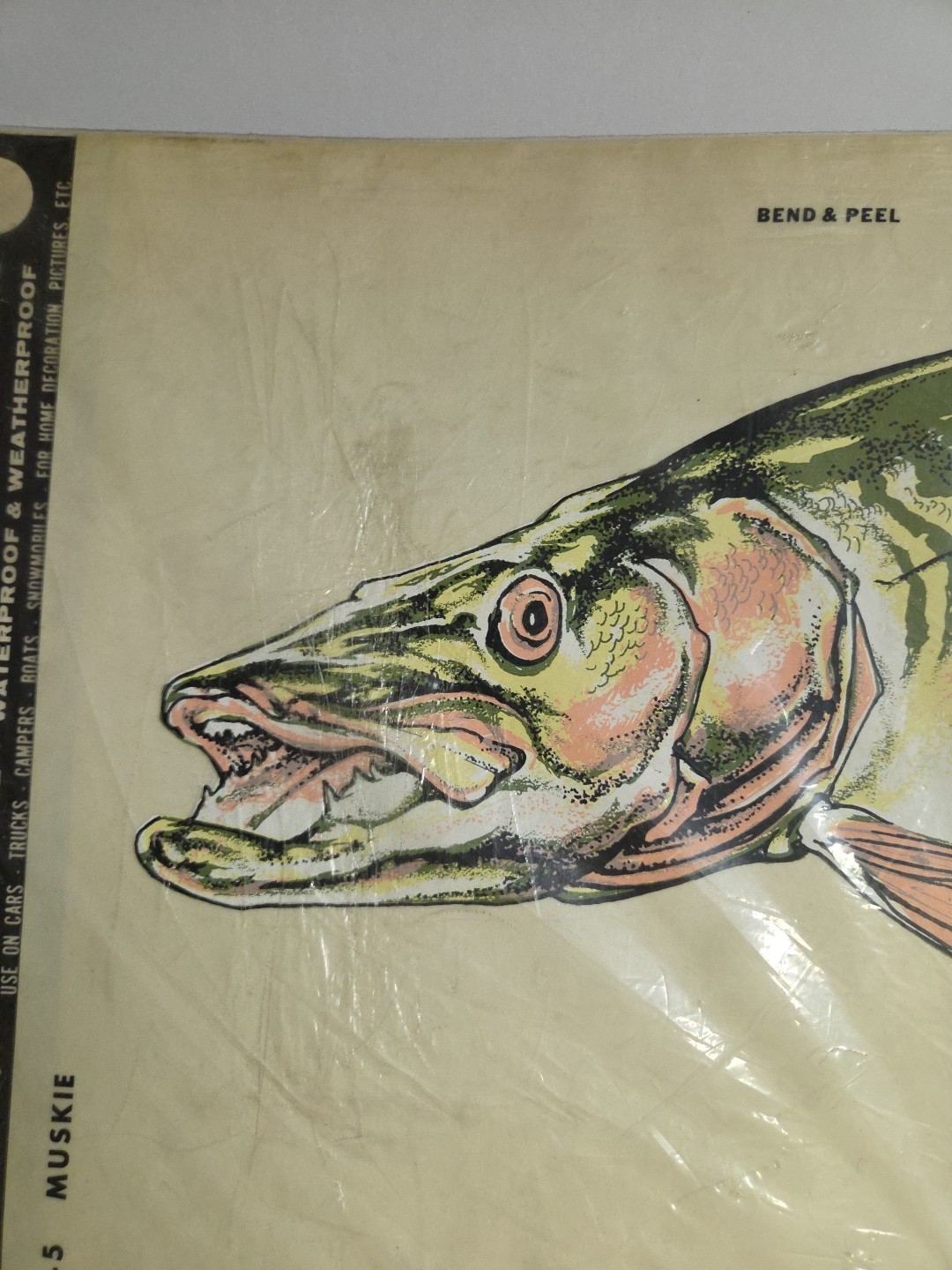 Vintage 1970's NOS Hand Painted Sports And Wildlife Decals W-5 MUSKIE 10×17