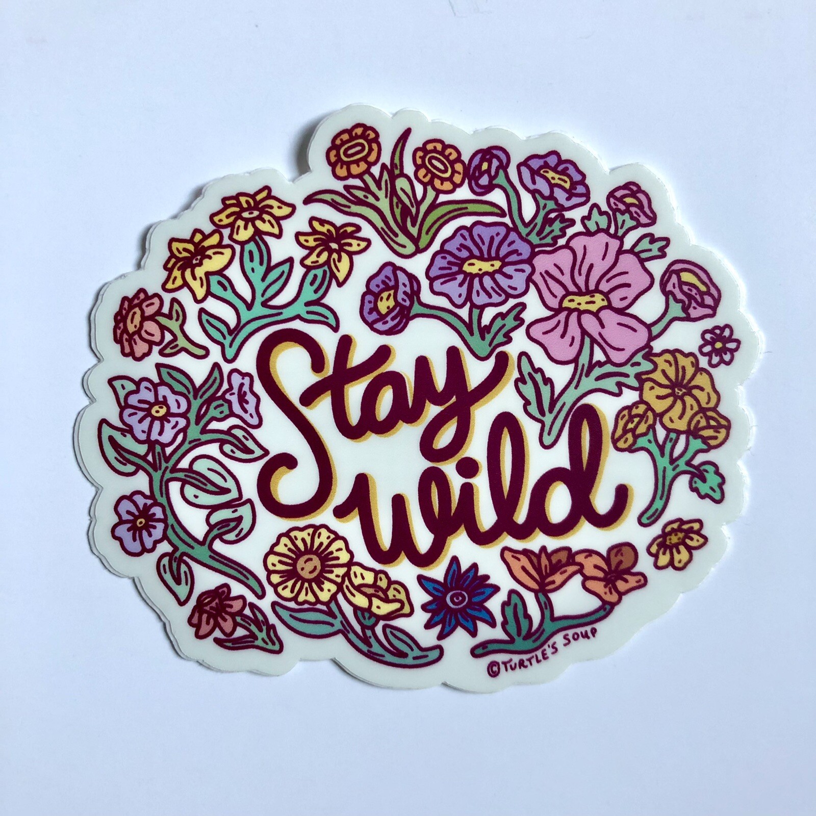 NEW! Turtle’s Soup SET OF 4 VINYL STICKERS / DECALS — 3×3” Fun Wilderness Theme