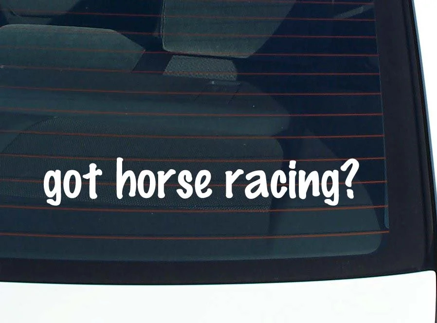 got horse racing? CAR DECAL BUMPER STICKER VINYL FUNNY JOKE WINDOW