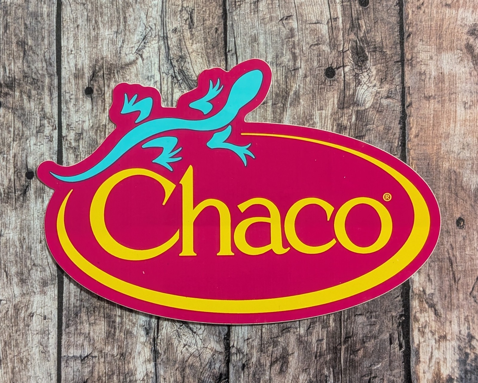 Chaco Lizard Logo Sticker – Pink Yellow Teal – Outdoor Footwear Sandals Gear