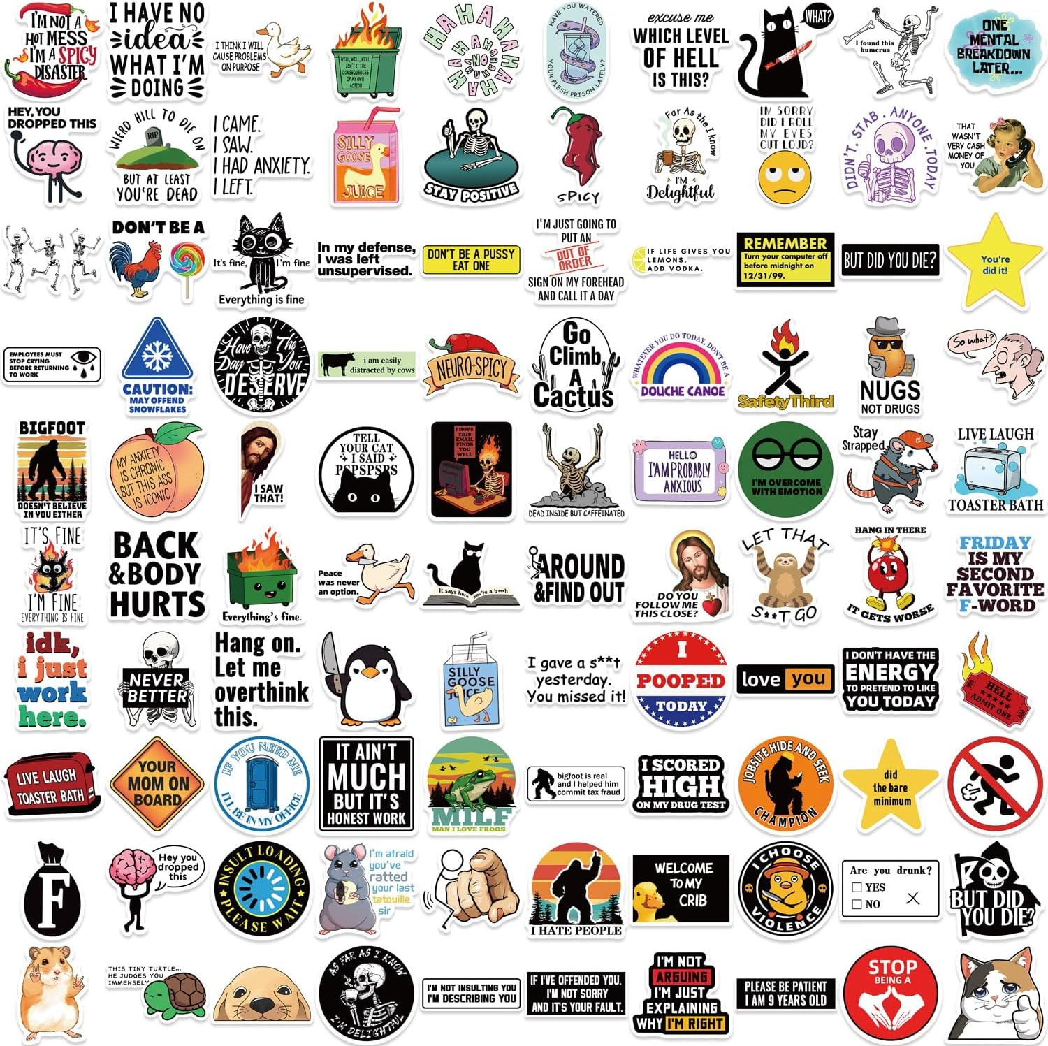 100 PCS Funny Stickers for Adults Snarky Meme Prank Meme Dirty Hilarious Sticker