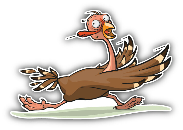Running Turkey Cartoon Animal Car Bumper Sticker Decal