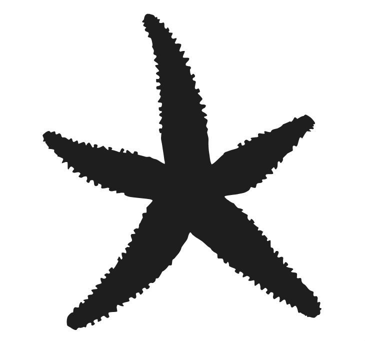 STARFISH VINYL DECAL SEA OCEAN SAND BEACH ISLAND WATER CHOOSE SIZE/COLOR