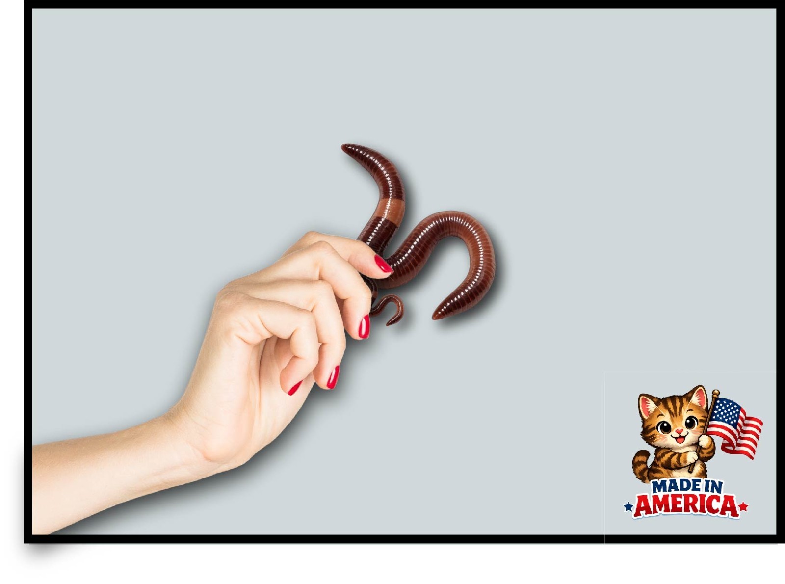 Worm Decal Sticker Earthworm Nightcrawler Fishing Bugs Nature Creepy Bait Garden