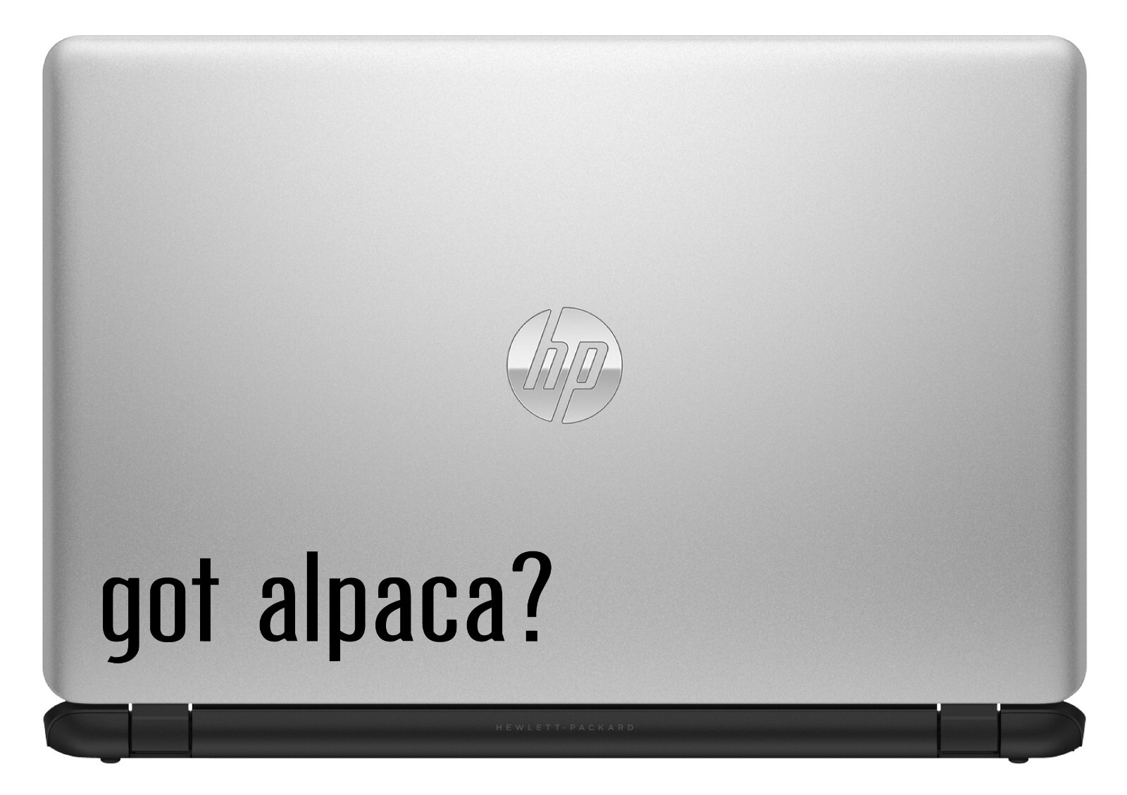 Got Alpaca? Custom Vinyl Sticker / Decal Llama, Animal, Farm, Wool, Nature