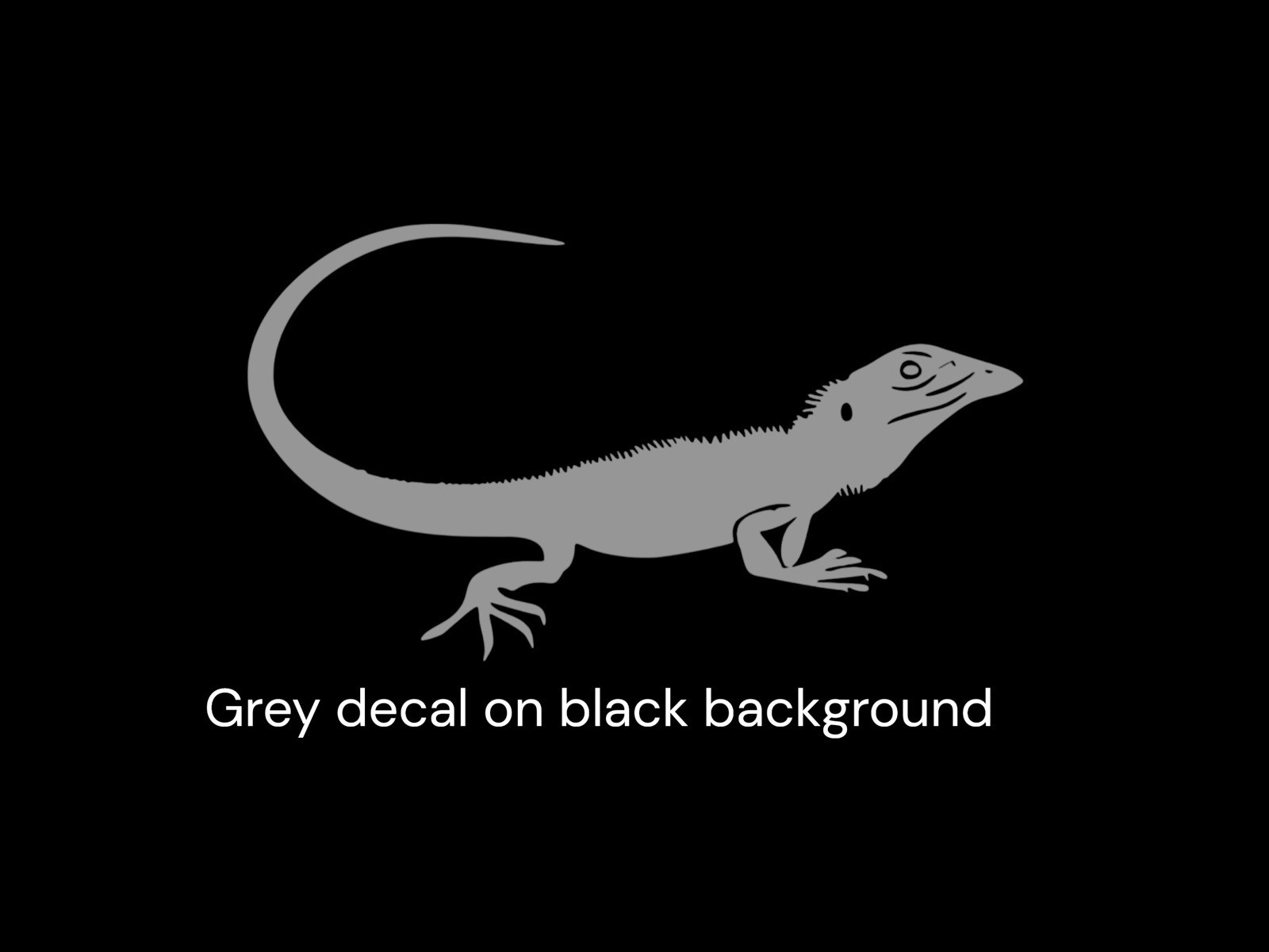 Lizard design#4 Decal for car Windows Laptops most Smooth Surfaces