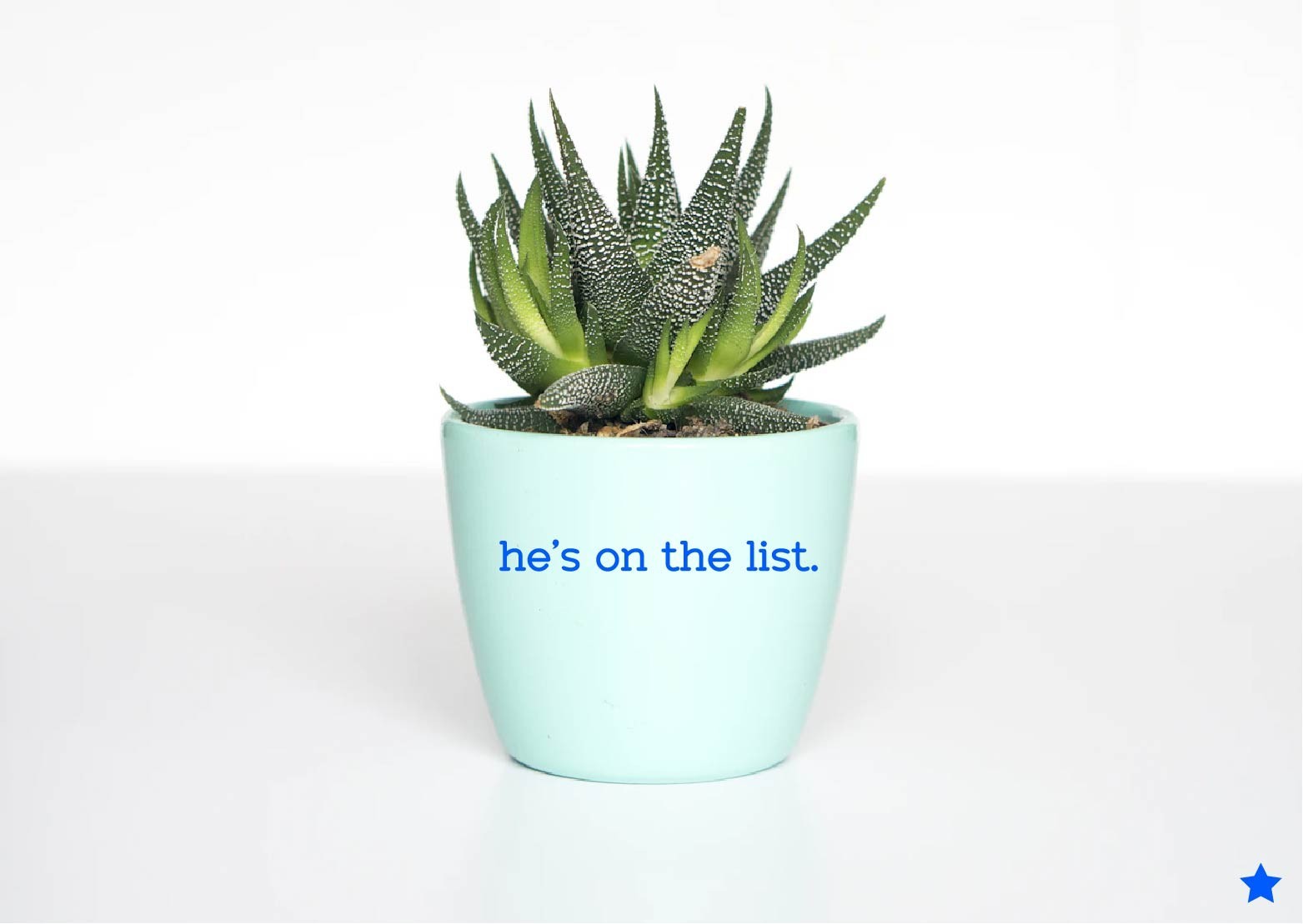 hes on the list Decal Sticker Anti MAGA Trump Democrat Release the Names No King
