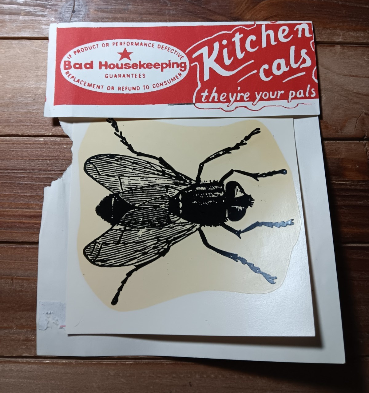 Bad Housekeeping Kitchen Cals Big Creepy House Fly Decal Halloween 3.5"