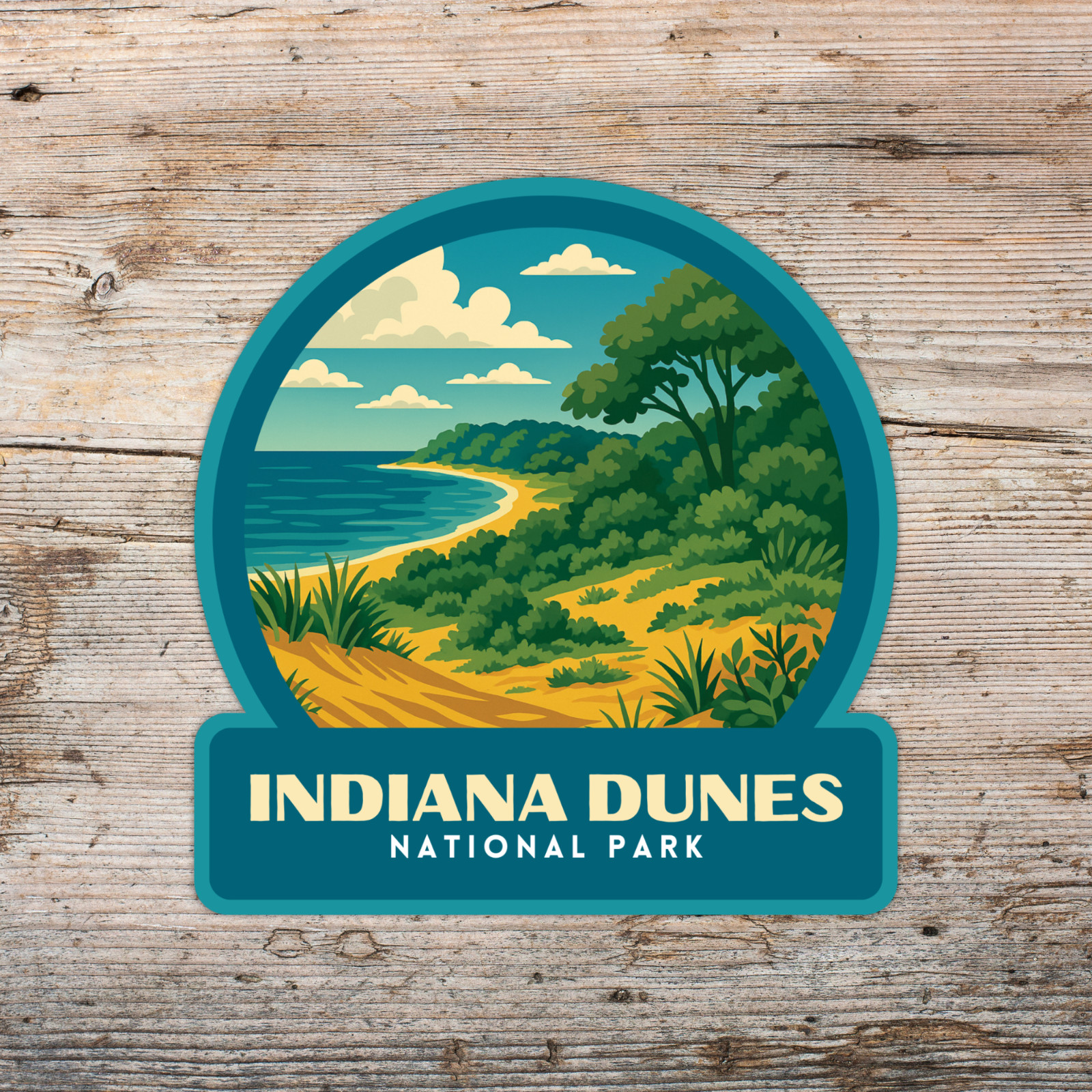 Indiana Dunes National Park Sticker Vinyl Decal Laptop Water Bottle Cooler