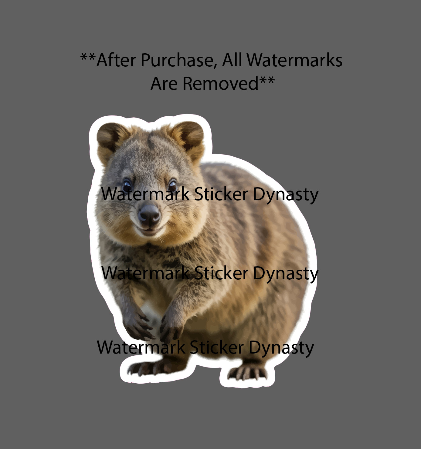 Quokka Sticker Waterproof Decal Animal Wildlife Nature Australia Cute Gift NEW
