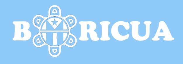 BORICUA WITH SOL TAINO, outdoor waterproof Decal, 3 sizes