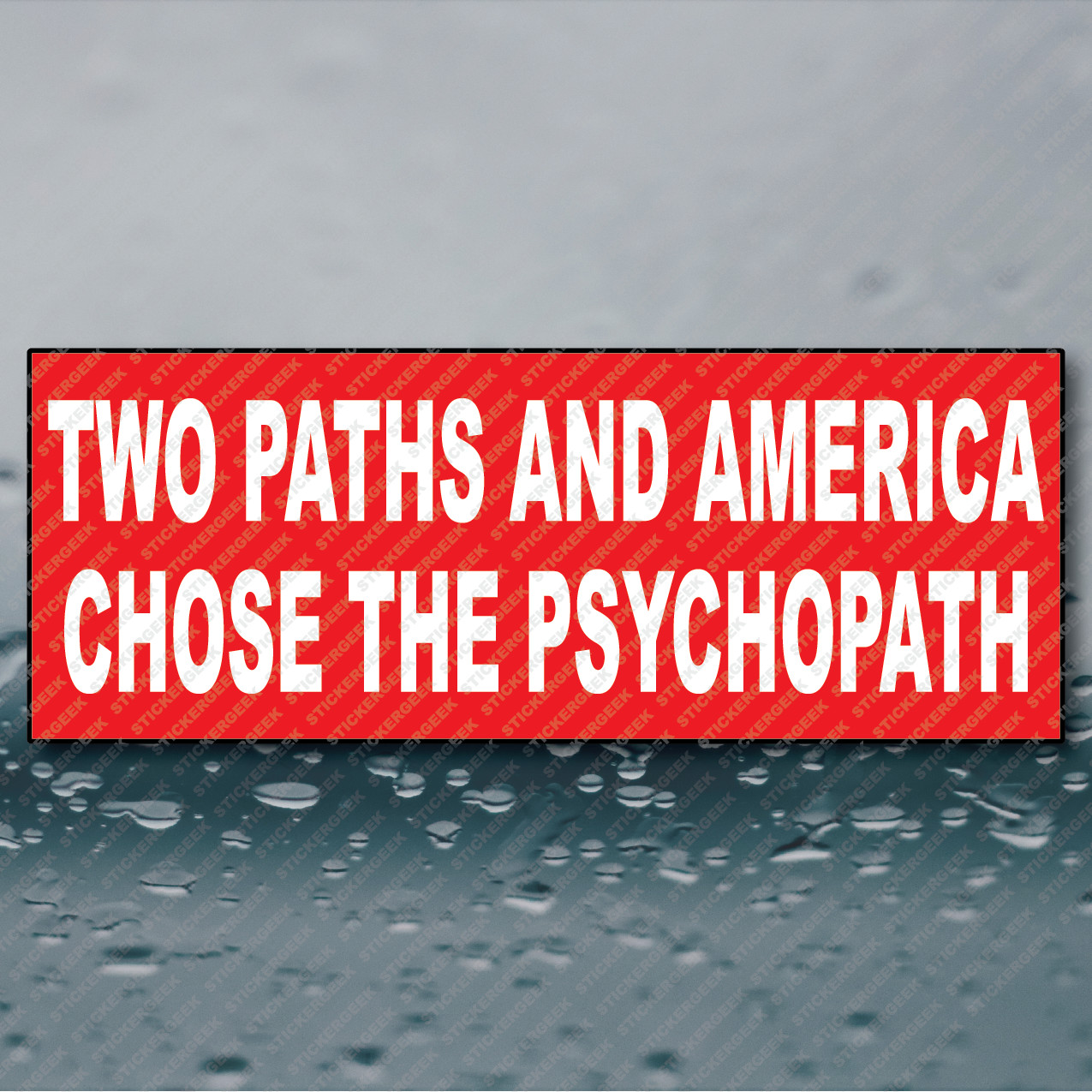 Anti Trump Two Paths And America Chose The Psychopath Bumper Sticker Funny Prank