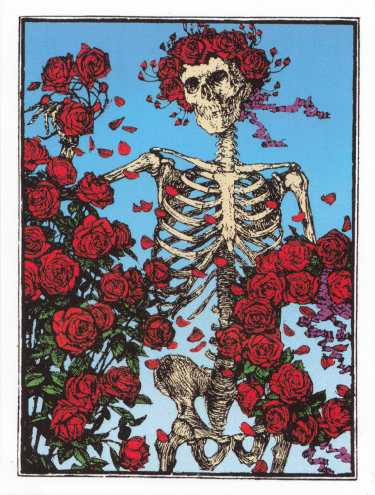 Sticker – Grateful Dead Skeleton Roses Psychedelic Vinyl Decal Rock Music Band