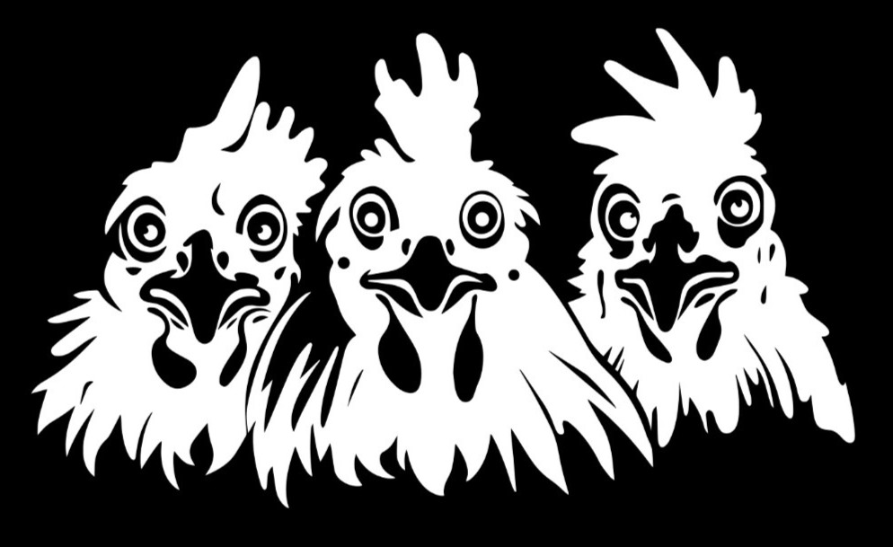 Peeking chickens Vinyl Decal Sticker Car Window Wall Farm Animal Chicken