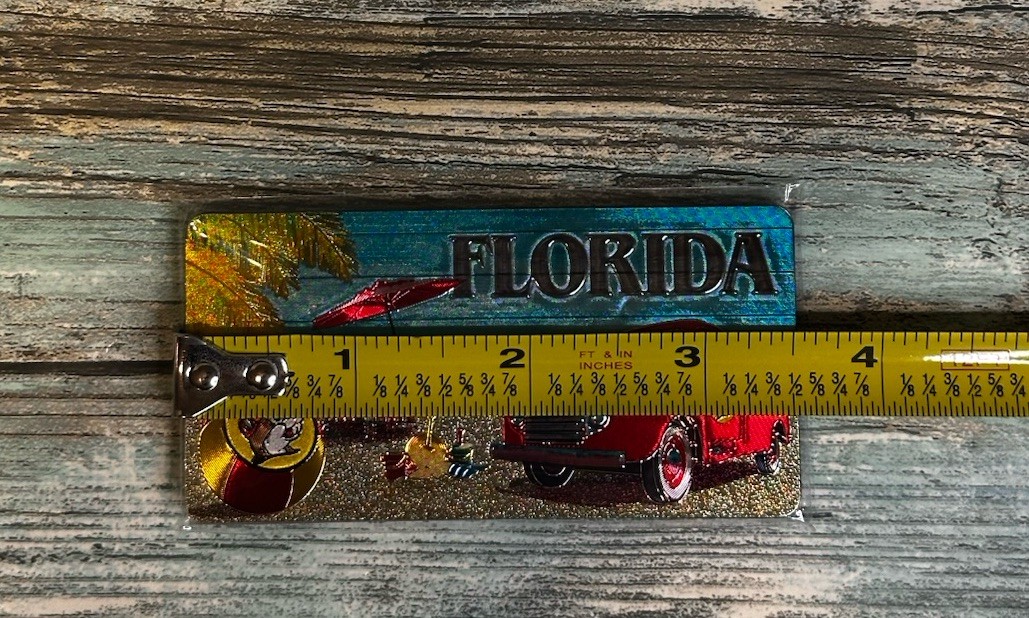 NEW Buc-ee's Florida Beach License Plate Beaver Believer ☀️ DOUBLE-SIDED Magnet