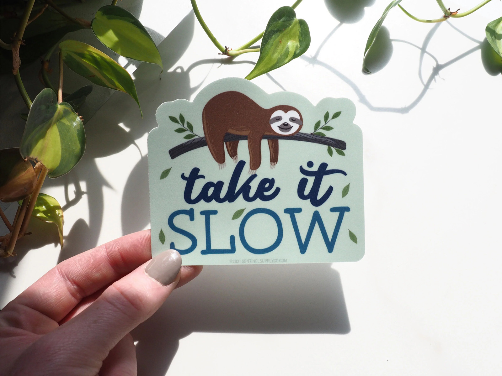 Take It Slow Sloth Sticker