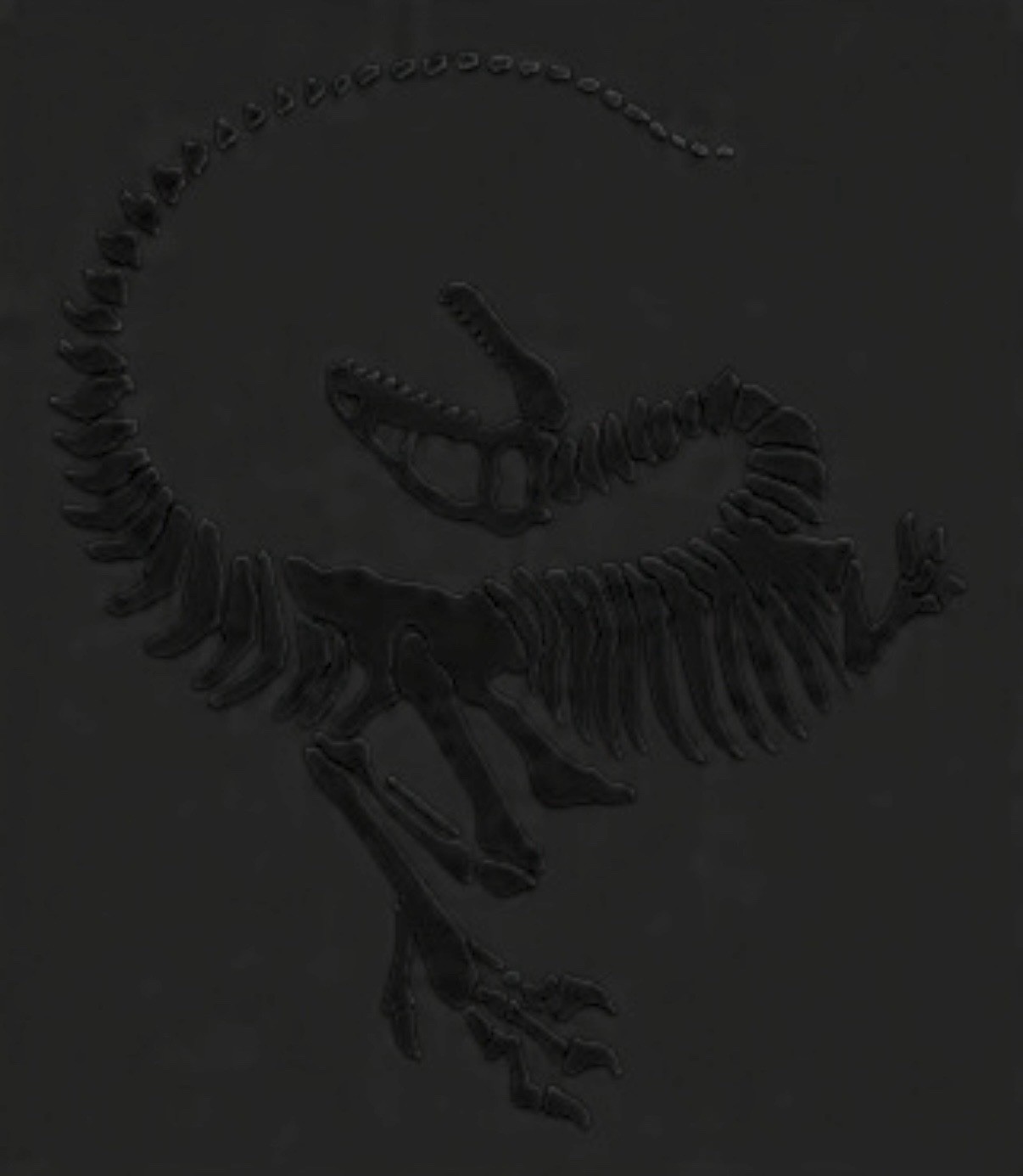 VELOCIRAPTOR Skeleton Dinosaur Sticker, Decal Vinyl For Laptop, Helmet