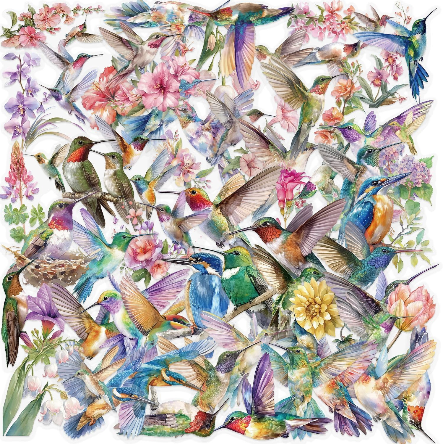 50PCS Hummingbird Stickers PET Transparent Stickers Nature Decals Waterproof Dec
