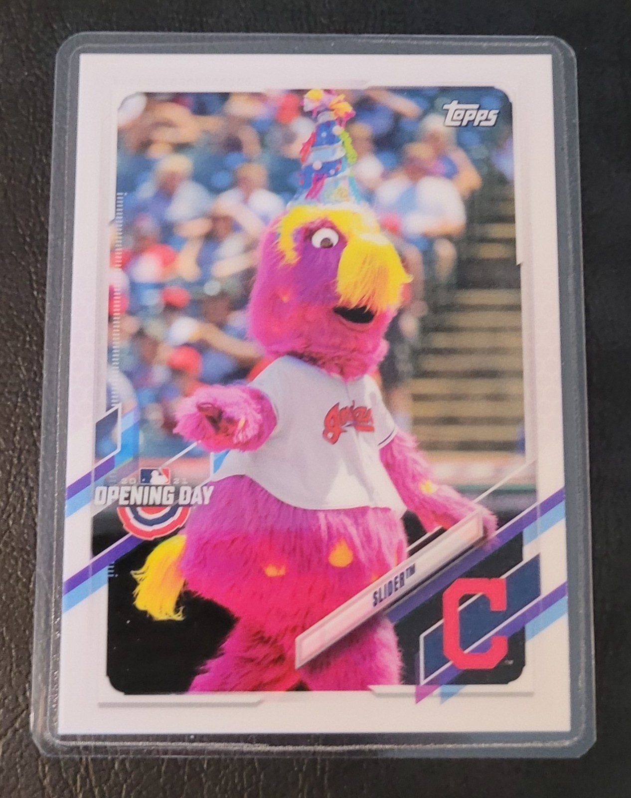 MLB MASCOTS fun Baseball Card HOF Fridge/Locker/Cabinet Laminated Magnet