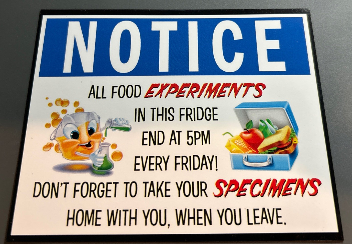 Large Magnet: NOTICE – Take Your Food Experiments Home (Break Room Fridge Humor)