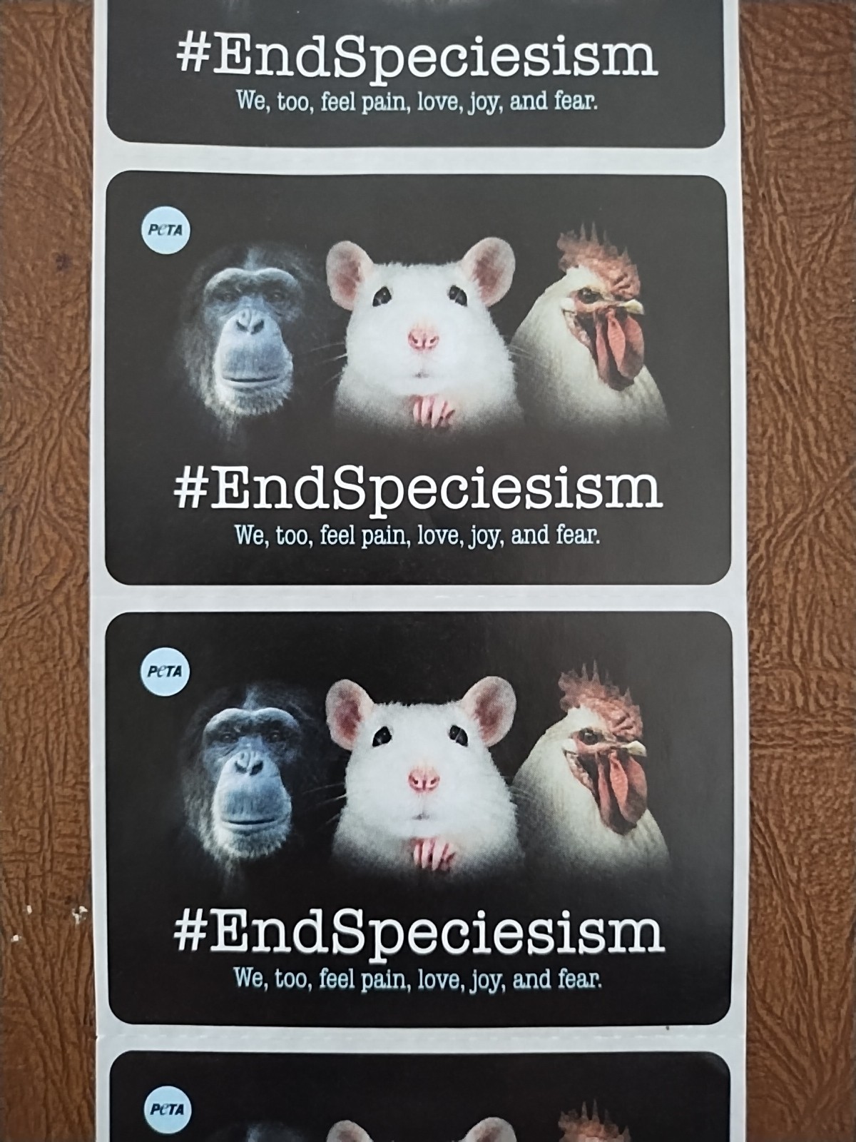 1 Sheet with 5 PeTA Stickers: #EndSpeciesism.We,too,feel pain. Each Size 3"x 2"