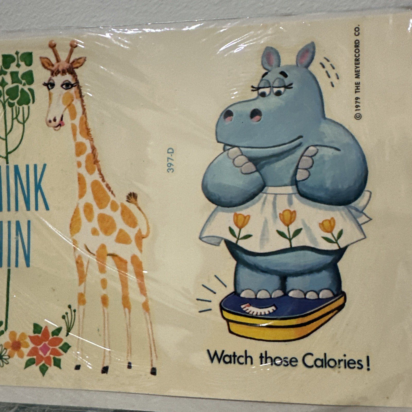 Vintage Meyercord Decal Retro Diet Culture Think Thin Hippo Giraffe