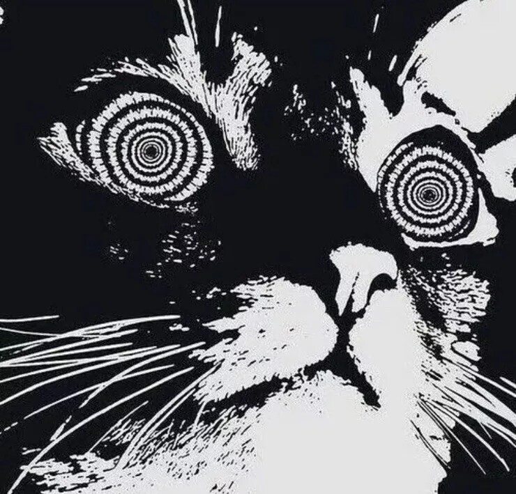 Black Cat Sticker Decal