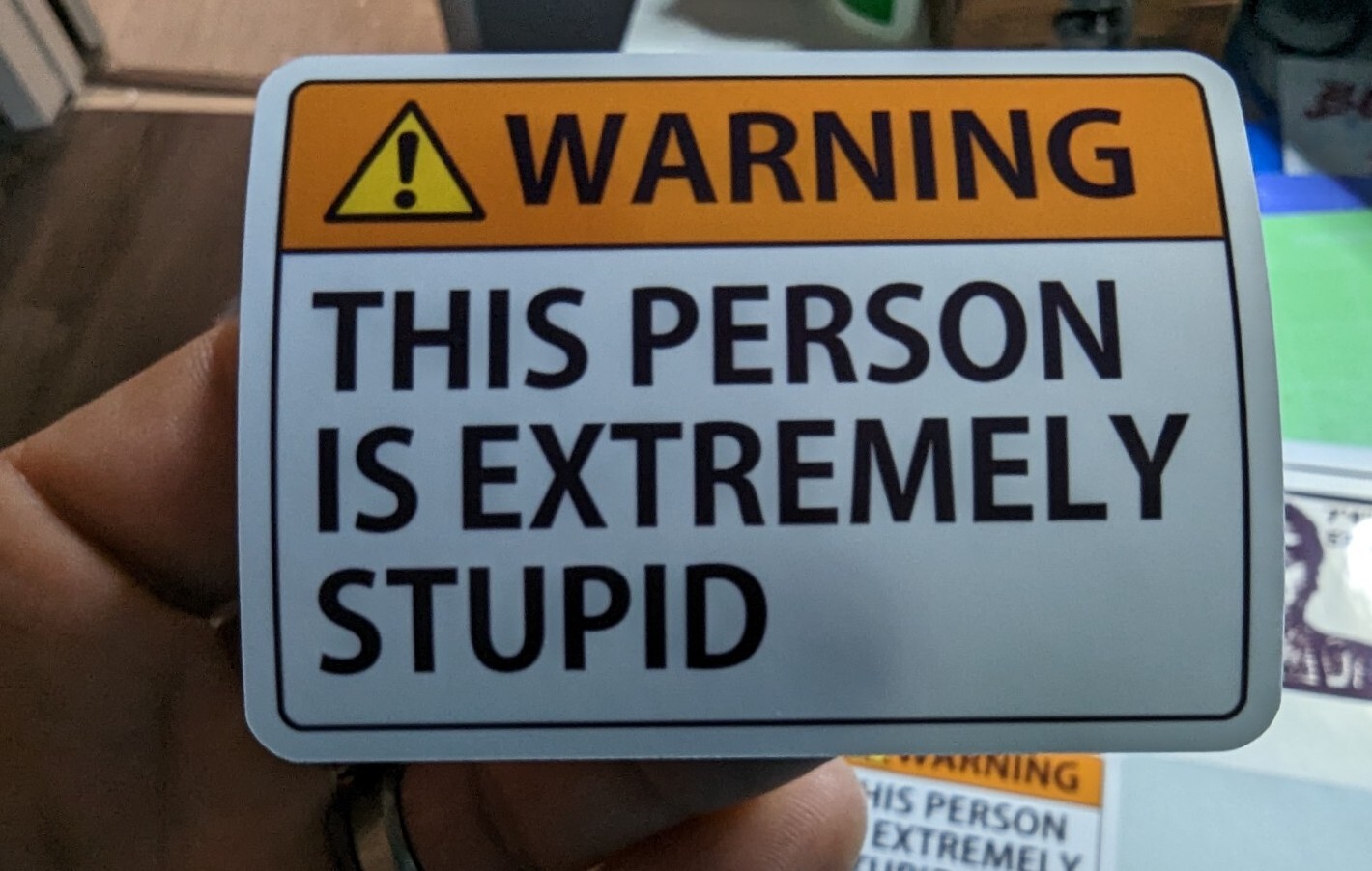 'WARNING THIS PERSON IS EXTREMELY STUPID' 3×2" printed vinyl sticker funny 3 pak
