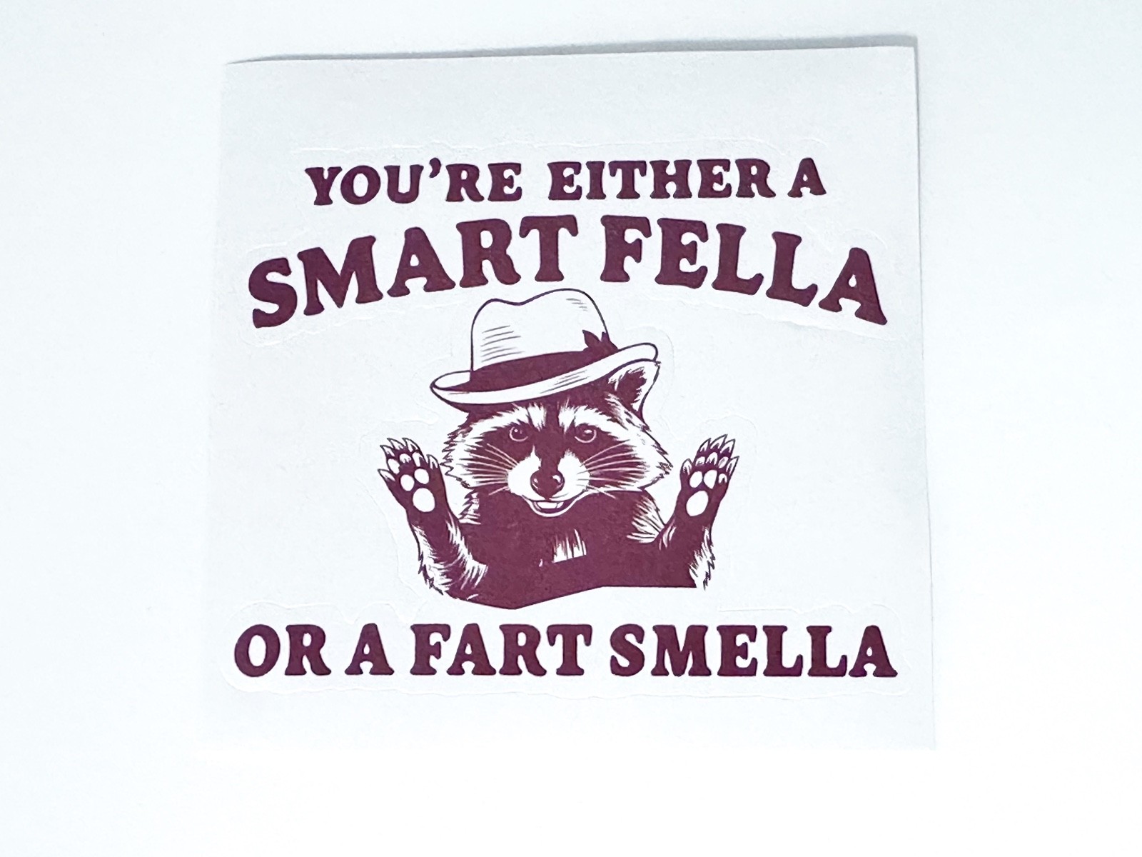 Smart Fella Fart Smella Raccoon Sticker Decal Funny Humor Phone Laptop Tablet