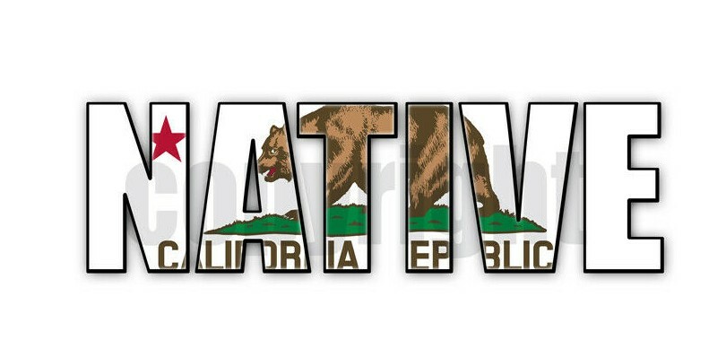 California Native Flag Stickers Flag Decals Vinyl Indoor Outdoor Stickers