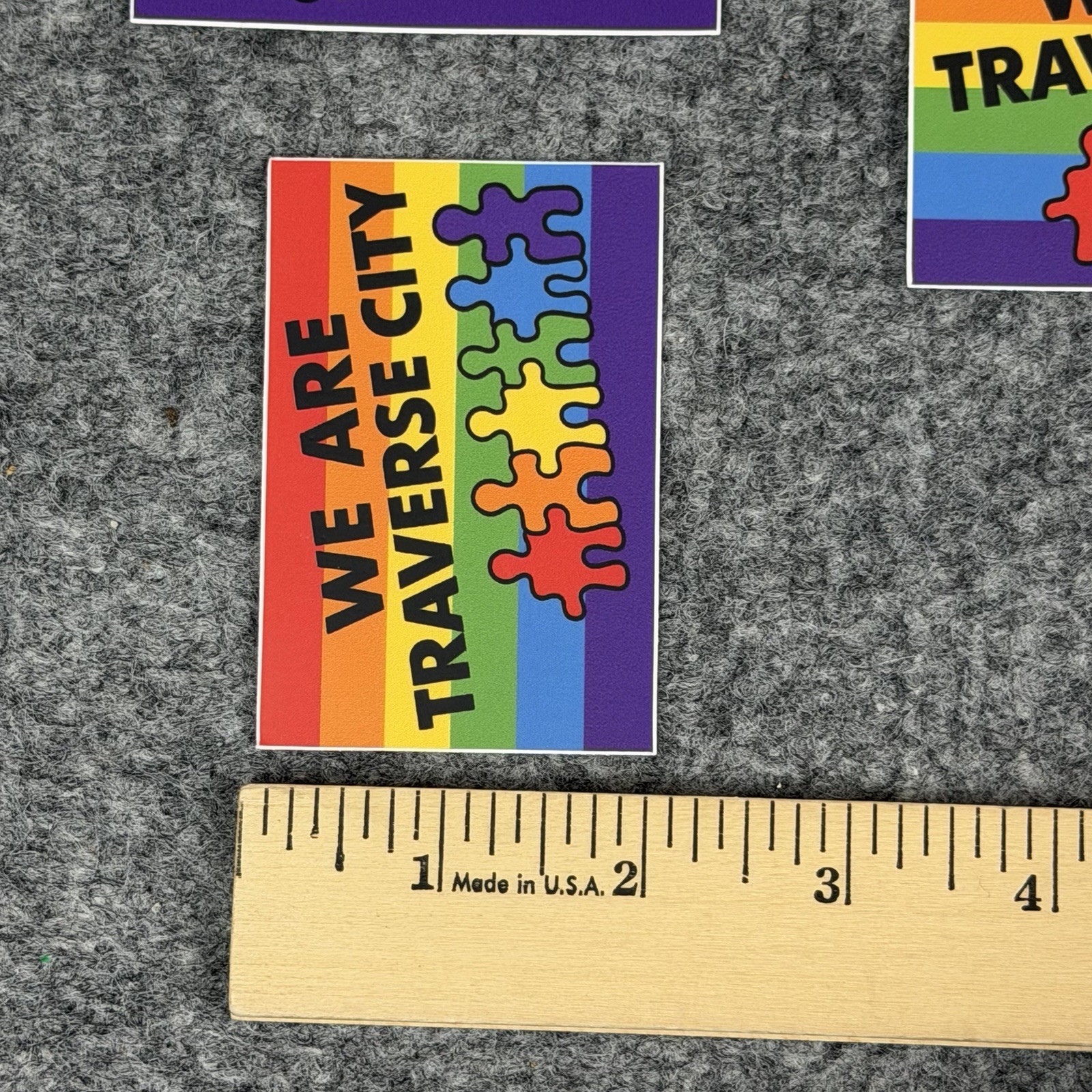 Traverse City MI Rainbow Sticker Lot of 5 Waterproof Vinyl Durable Pride Decals