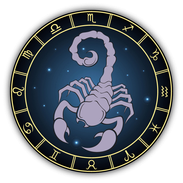 Scorpion Zodiac Sign Car Bumper Sticker Decal