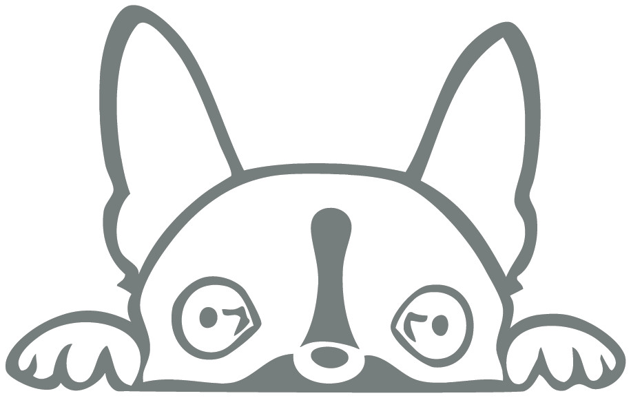 Boston Terrier Peeking Die Cut Vinyl No Background Multiple Color Decal Made USA