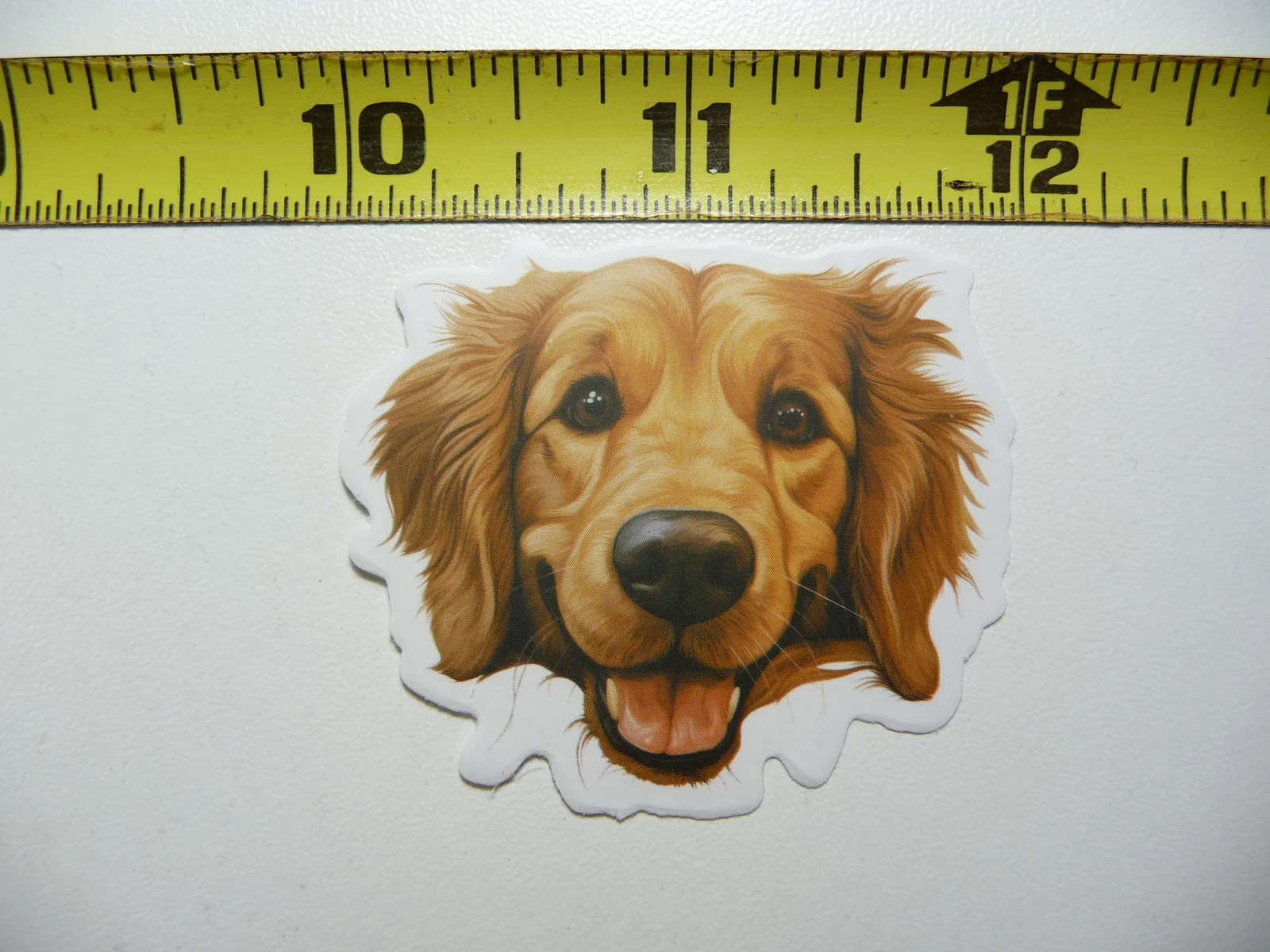 PEEKING GOLDEN RETRIEVER SMALL STICKER DECAL PUPPY DOG PET LOVE PEEK A BOO