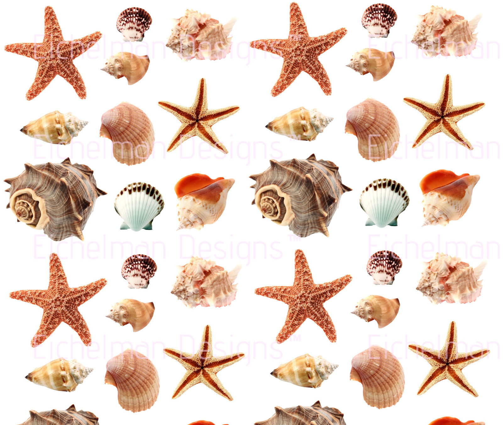 SEASHELLS Wall Stickers 40 Decals Scrapbook Car Truck Ocean Beach MADE IN USA!!!
