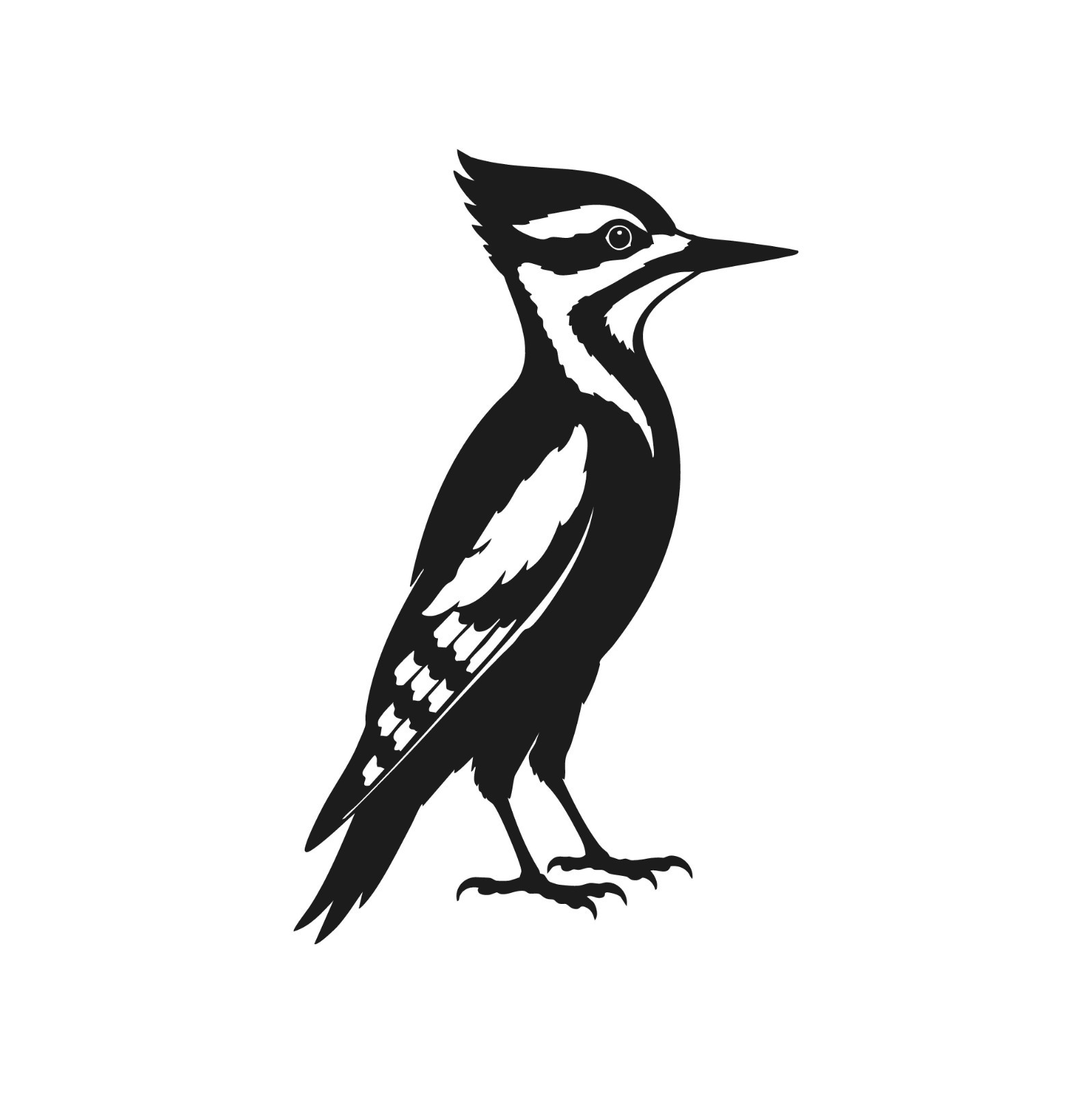 Detailed Woodpecker Vinyl Decal Animal Bird Birds Window Laptop Sticker