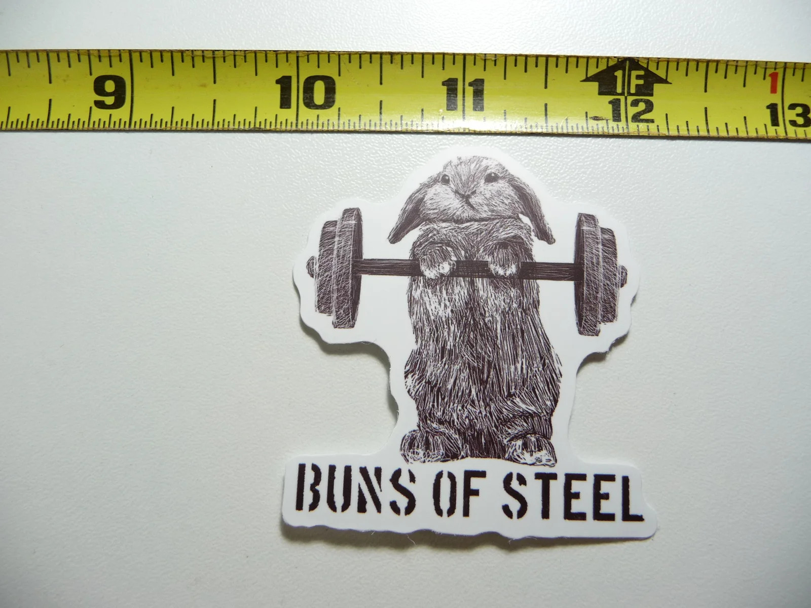 BUNS OF STEEL BARBELL RABBIT BUNNY SMALL STICKER DECAL GYM WEIGHTLIFTING FITNESS